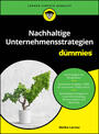 Cover: Meike Lerner Nachhaltige Unternehmensstrategien für Dummies